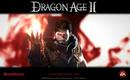 Dragon_age_2-wallpaper-02-hawk